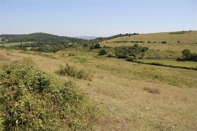 Paysage du plateau d'Arnans