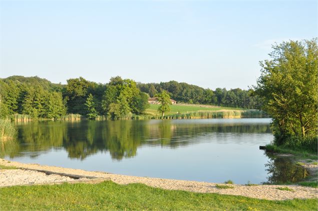 Balade  - Passerelle flottante de la Grange du Pin