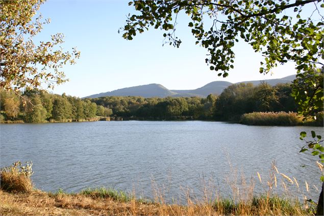 Balade - Tour du plan d'eau de la Grange du Pin