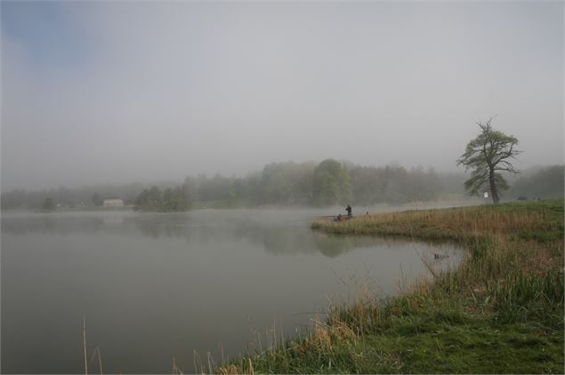 Balade - Tour du plan d'eau de la Grange du Pin