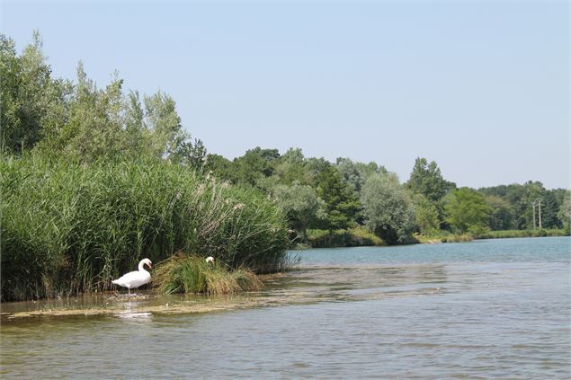 Circuit n°15 - Tour des lacs - OT Bourg en Bresse Destinations