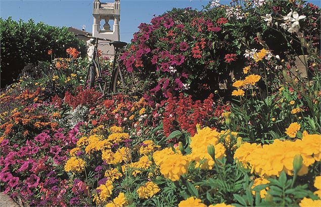 Balade en bocage bressan