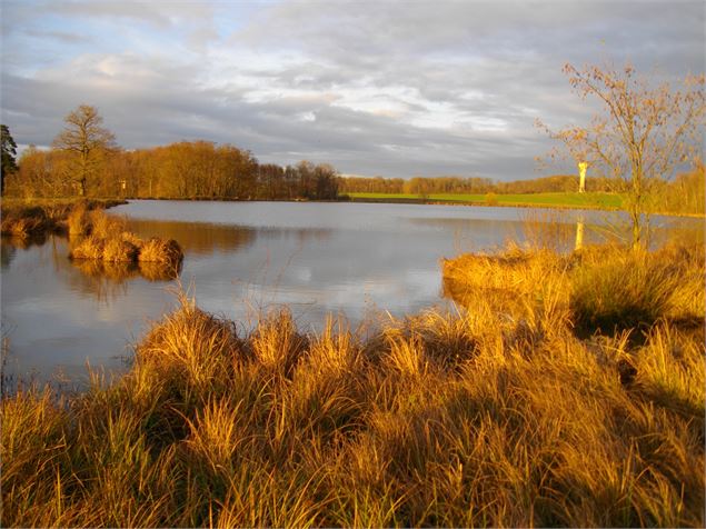 Balade à la croisée des chemins