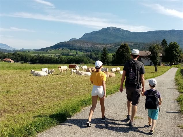 Promeneurs - Nadine Chevelard