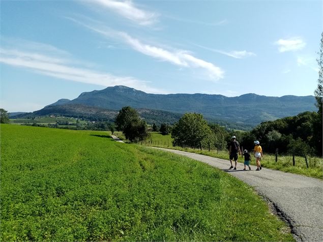 Paysages verdoyants - Nadine Chevelard