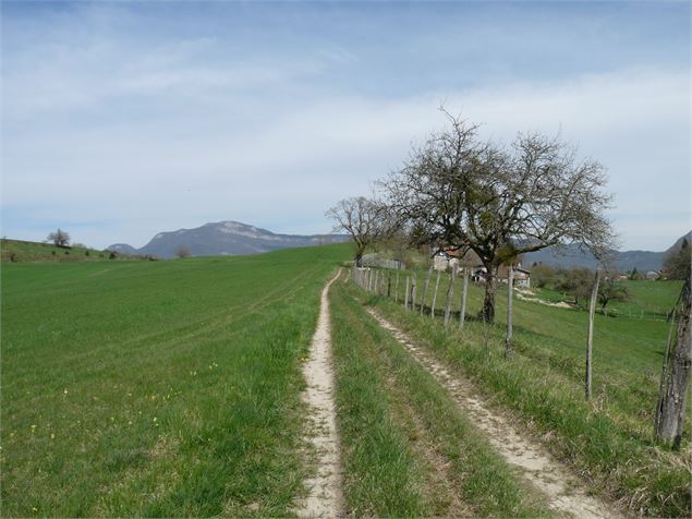 Boucle de St Paul - Henri De Caevel