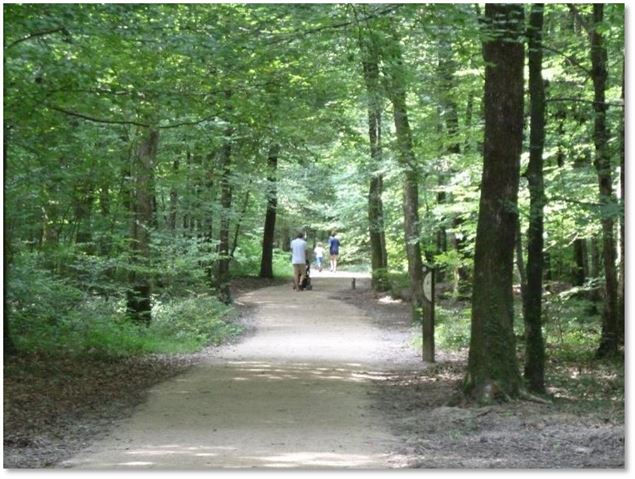 Espace pédagogique forestier de Seillon - ©pas sage d'Images