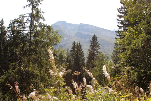 Vue sur la Pointe de Merdassier - © Romane Pelletier