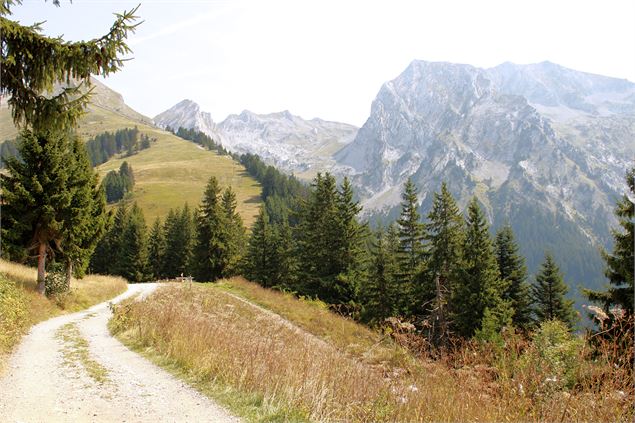 Vue sur l'Étale - © Romane Pelletier