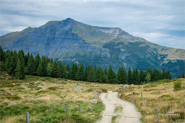 Le chemin des chalets du Truc - Les Contamines Tourisme