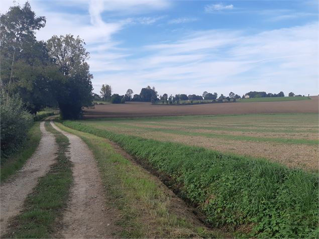 Foissiat - Ancienne Chartreuse de Montmerle - scalland