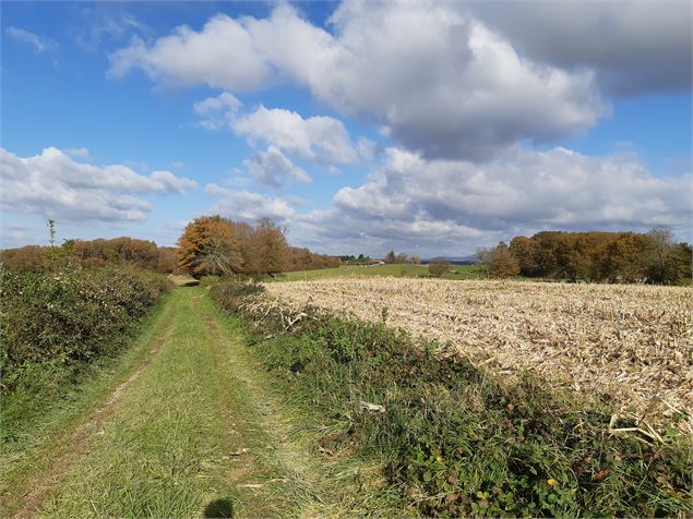 Randonnée - La Poype du Miroton et Chemin de messe - scalland