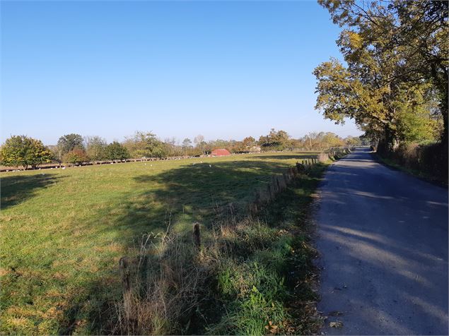 Attignat - Confluence de la Reyssouze et du Jugnon - scalland