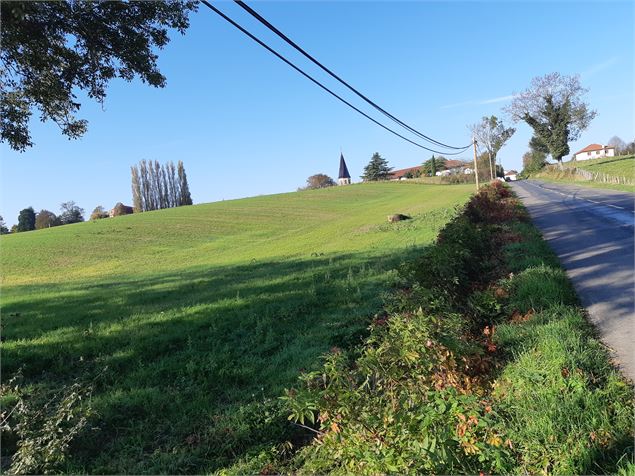 Attignat - Confluence de la Reyssouze et du Jugnon - scalland
