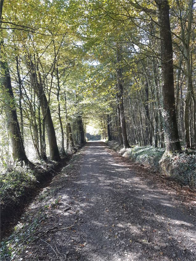 Bresse Vallons - Etangs de Bizadan et de But - Voie royale - scalland