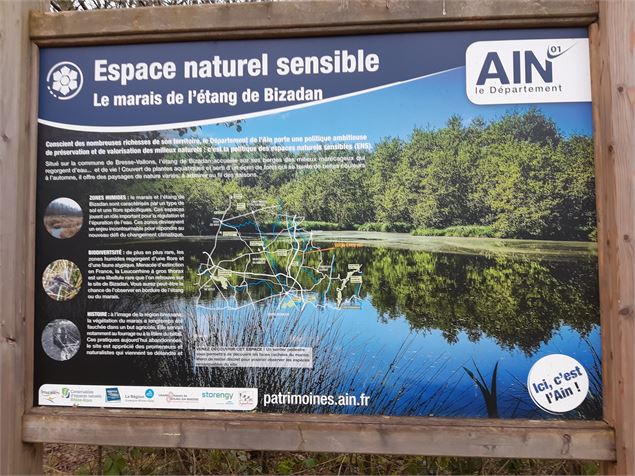 Bresse Vallons - Etangs de Bizadan et de But - Voie royale - scalland