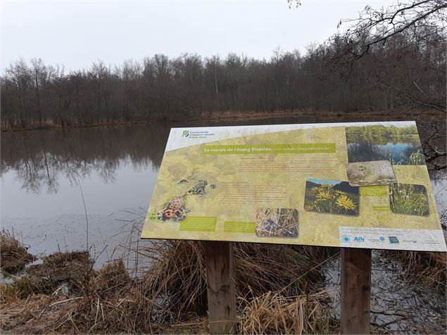 Bresse Vallons - Etangs de Bizadan et de But - Voie royale - scalland