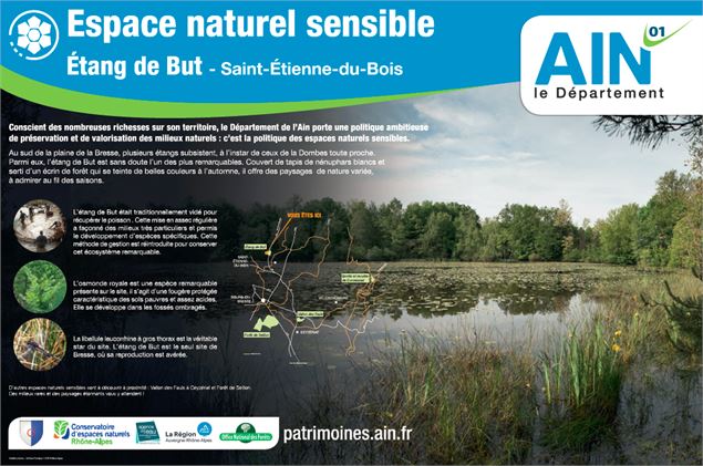 Bresse Vallons - Etangs de Bizadan et de But - Voie royale - scalland