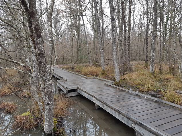 Bresse Vallons - Cras et l'étang Bizadan - scalland