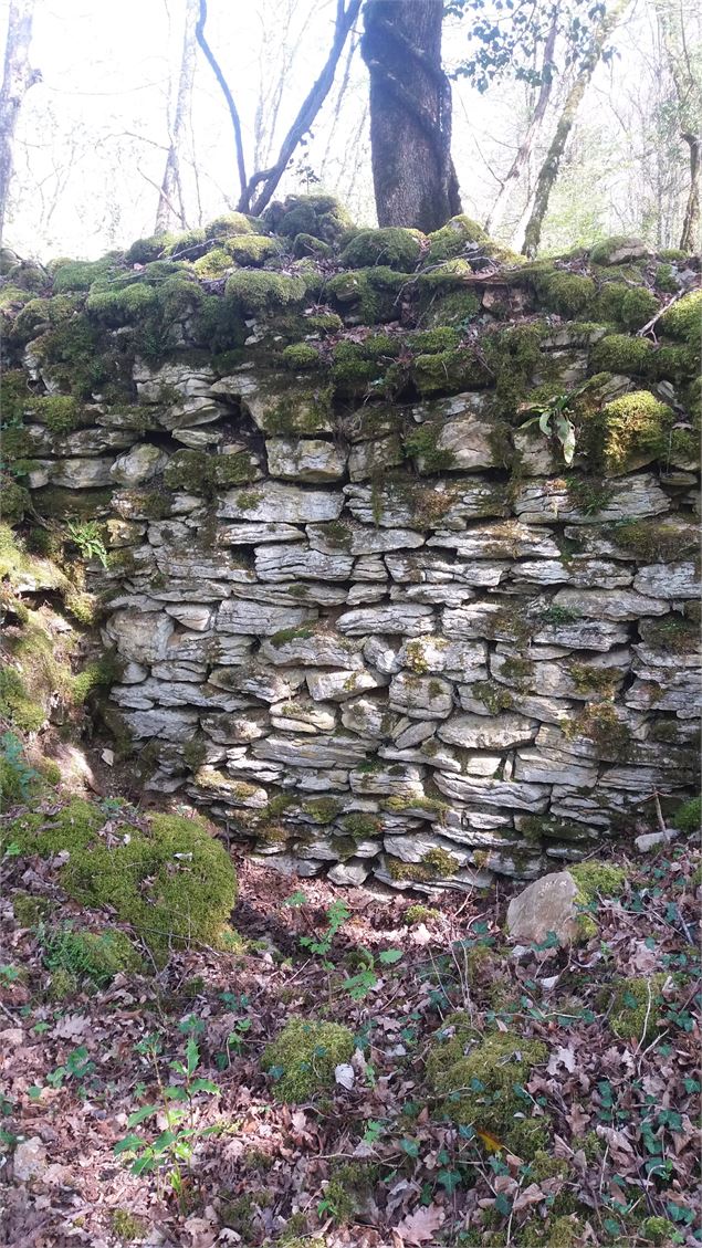 Murgets du Revermont - scalland