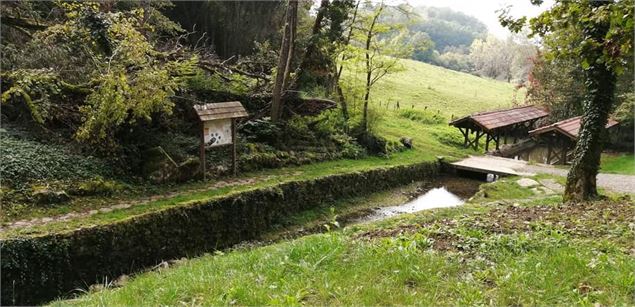 Source de la Reyssouze - Morgane Monneret