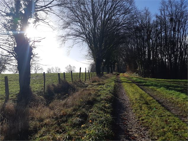 Sur les chemins de St Didier d'Aussiat - scalland