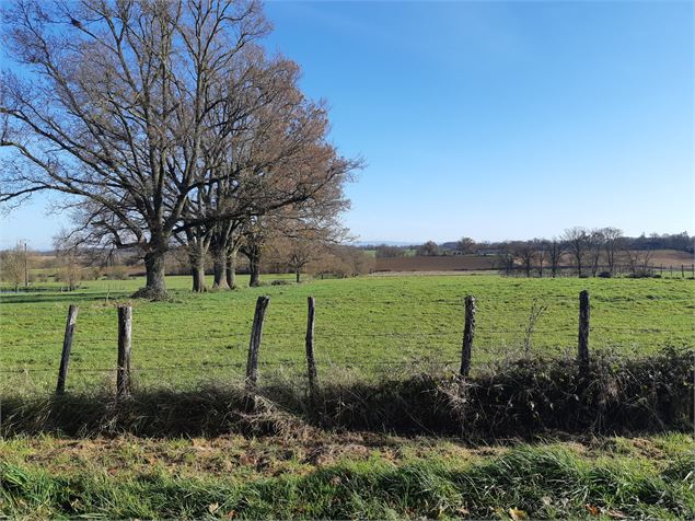 Terre de Bresse - scalland