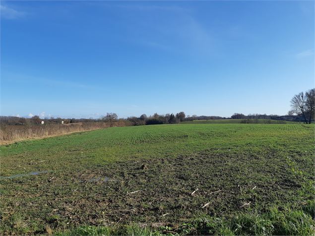 Terre de Bresse - scalland