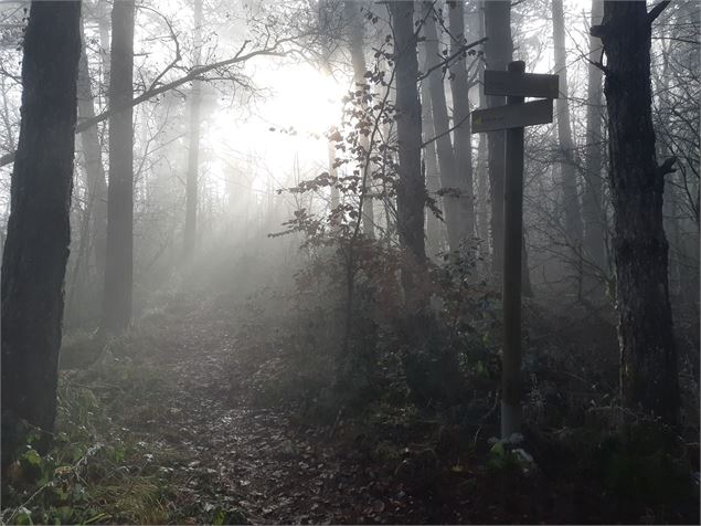 Falaise de Chatillon - scalland