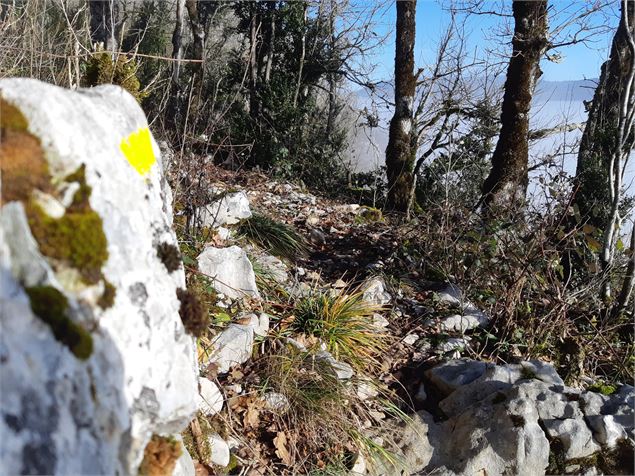 Falaise de Chatillon - scalland