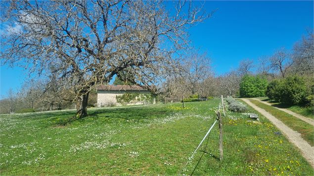 Randonnée  - Bohas et la Vallée du Suran_Bohas-Meyriat-Rignat - scalland