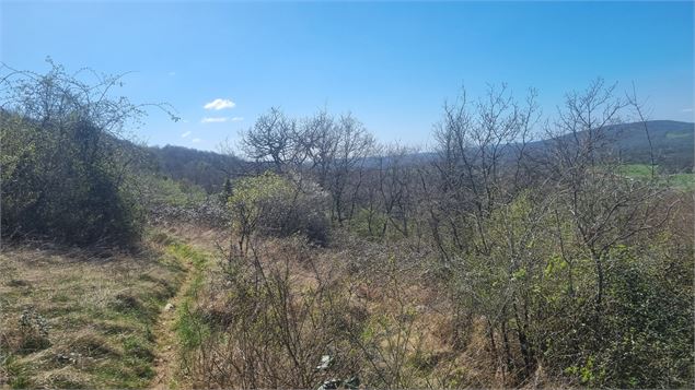Randonnée  - Bohas et la Vallée du Suran_Bohas-Meyriat-Rignat - scalland