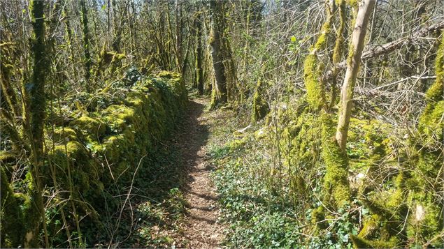 Randonnée  - Bohas et la Vallée du Suran_Bohas-Meyriat-Rignat - scalland