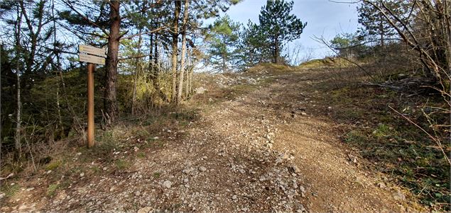 Mont Plantaglay - scalland