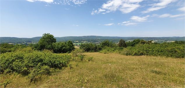 Réserve Naturelle de la grotte de  Hautecourt_Hautecourt-Romanèche - GBA