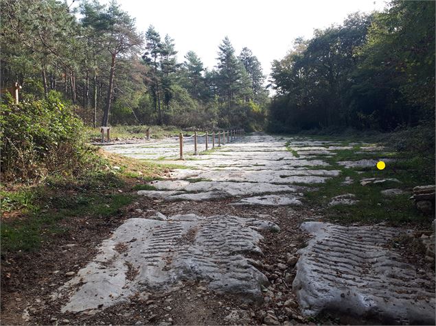 Les chemins de dinosaures de Villette - Balade géologique_Hautecourt-Romanèche - GBA