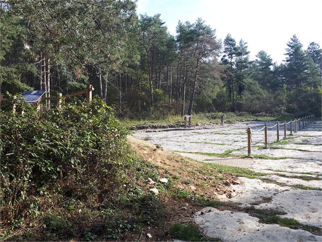 Les chemins de dinosaures de Villette - Balade géologique_Hautecourt-Romanèche - GBA