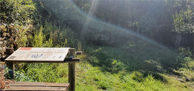 Lavoir et source du Jugnon - Jasseron - scalland