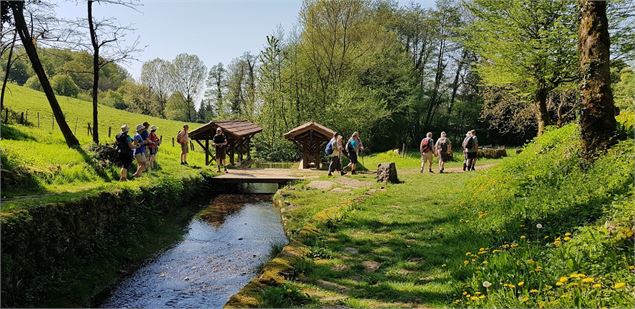 Vignoble de Journans - Belvédère du Mont Rignat_Journans - s calland