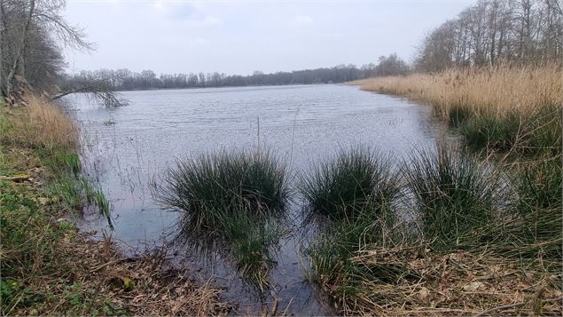 Lent  - Veyle et Etangs_Lent - scalland