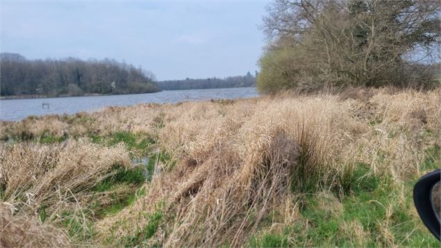L'étang Pommier et le château Longchamp_Lent - CH de Longchamp