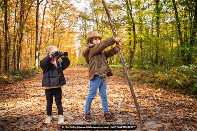 Balade et parcours d'activités en forêt de Seillon_Péronnas - OTBBD