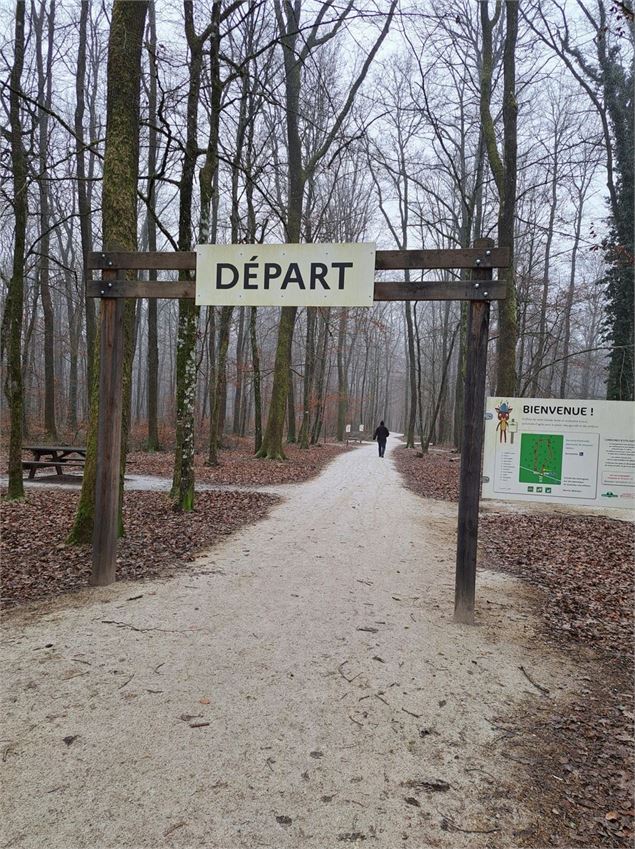 Balade et parcours d'activités en forêt de Seillon_Péronnas - OTBBD