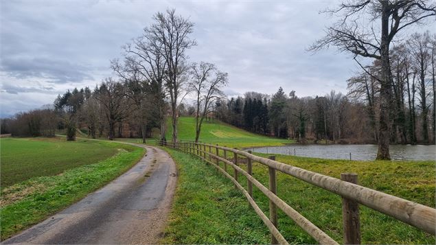 Dompierre sur Veyle et château de Montchamp_Dompierre-sur-Veyle - scalland