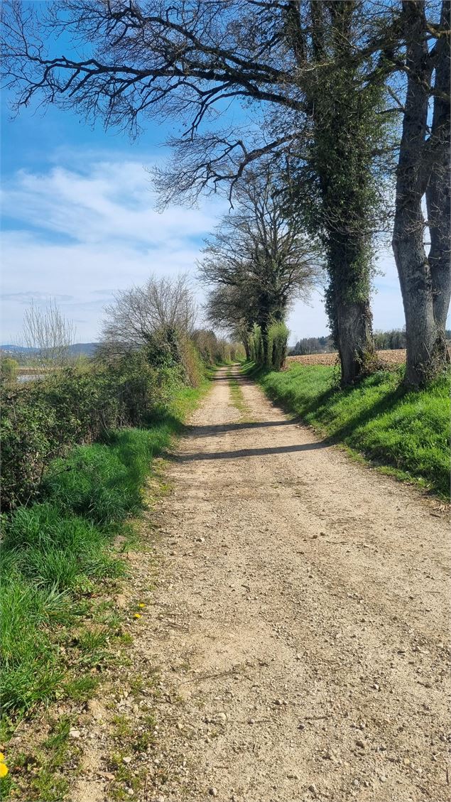 Certines et le château de Genoud - scalland
