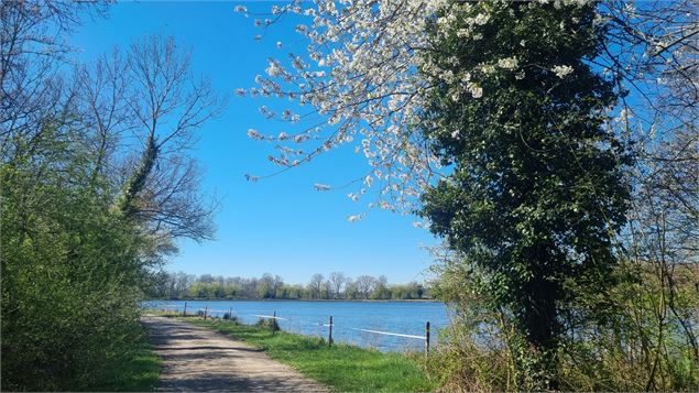 Randonnée - Servas et les étangs de la Carronnière_Servas - scalland