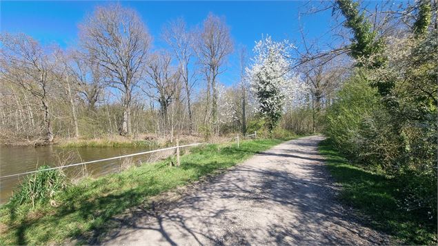 Randonnée - Servas et les étangs de la Carronnière_Servas - scalland