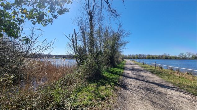 Randonnée - Servas et les étangs de la Carronnière_Servas - scalland