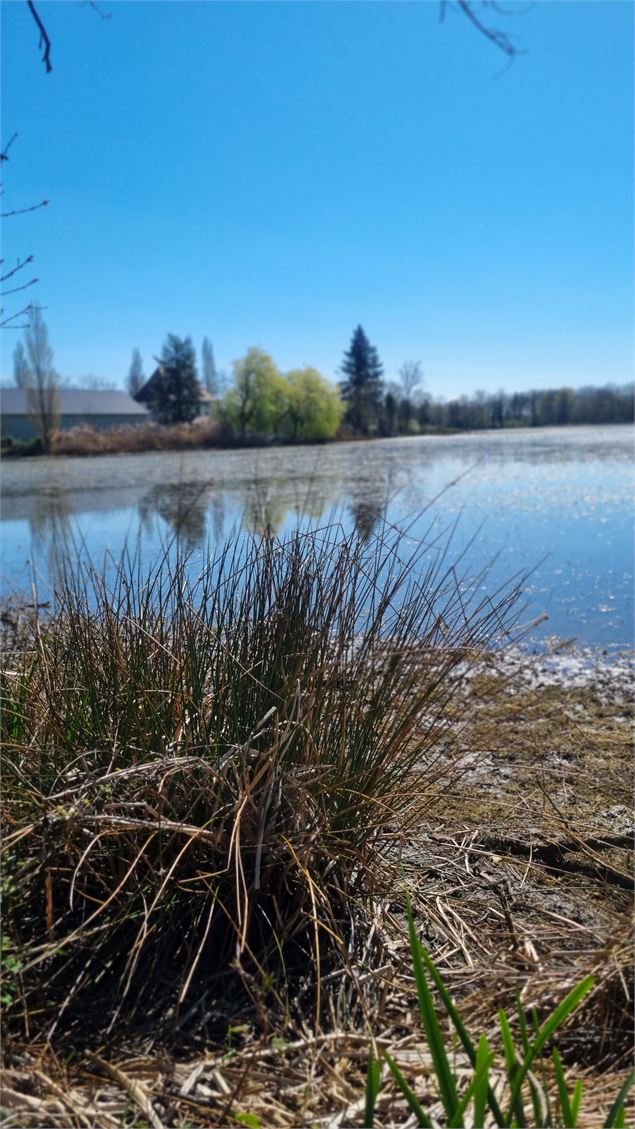 Randonnée - Servas et les étangs de la Carronnière_Servas - scalland