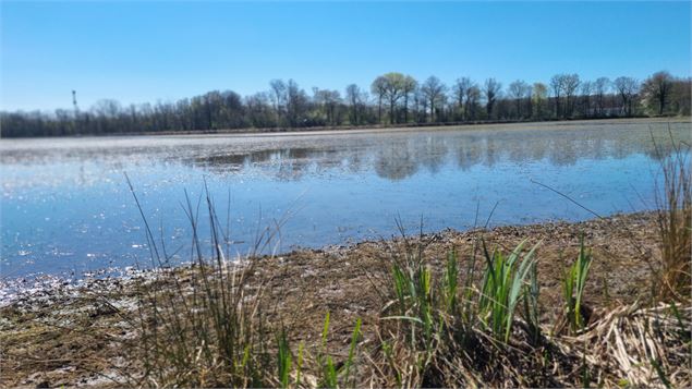 Randonnée - Servas et les étangs de la Carronnière_Servas - scalland